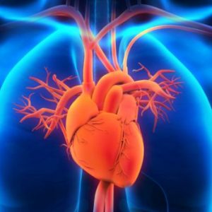 thesis on nafld thesis on nafld